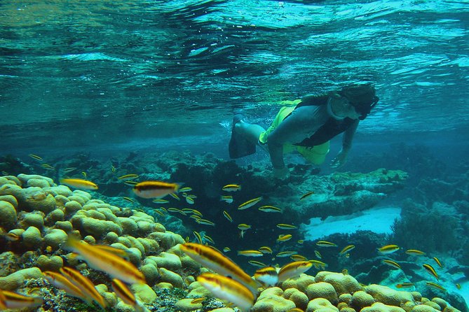 Adventure Antigua - Eli's Original Eco Tour - Why the Antigua North Sound feels like a small adventure