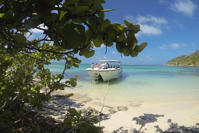 Adventure Antigua - Eli's Original Eco Tour - What about the group size and comfort on board?