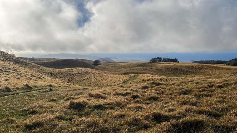 Adventures in Rapa Nui: High-quality tourism with Easter Island Your Tour. - Pickup and the first van ride: start strong, not stressed