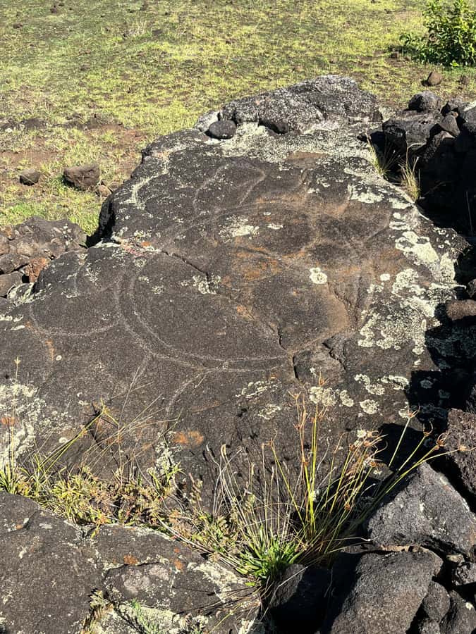 Adventures in Rapa Nui: High-quality tourism with Easter Island Your Tour. - Anakena: end the day with a human-scale moment
