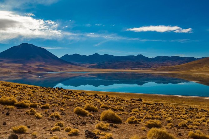 Altiplanic Lagoons & Piedras Rojas Tour from San Pedro de Atacama - Key things you’ll notice on this Altiplanic Lagoons and Piedras Rojas tour