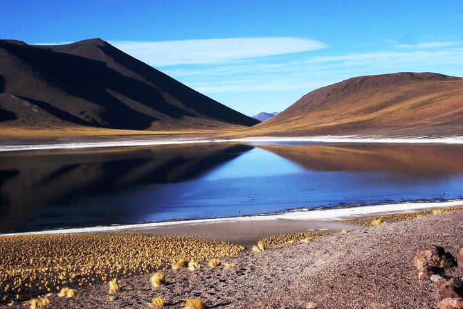 Altiplanic Lagoons & Piedras Rojas Tour from San Pedro de Atacama - Price and logistics, what $113 really buys you