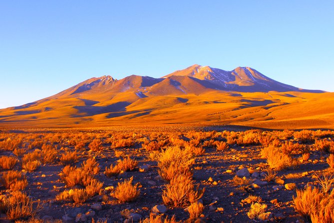 Altiplanic Lagoons & Piedras Rojas Tour from San Pedro de Atacama - Comfort, altitude, and the practical packing list that saves the day