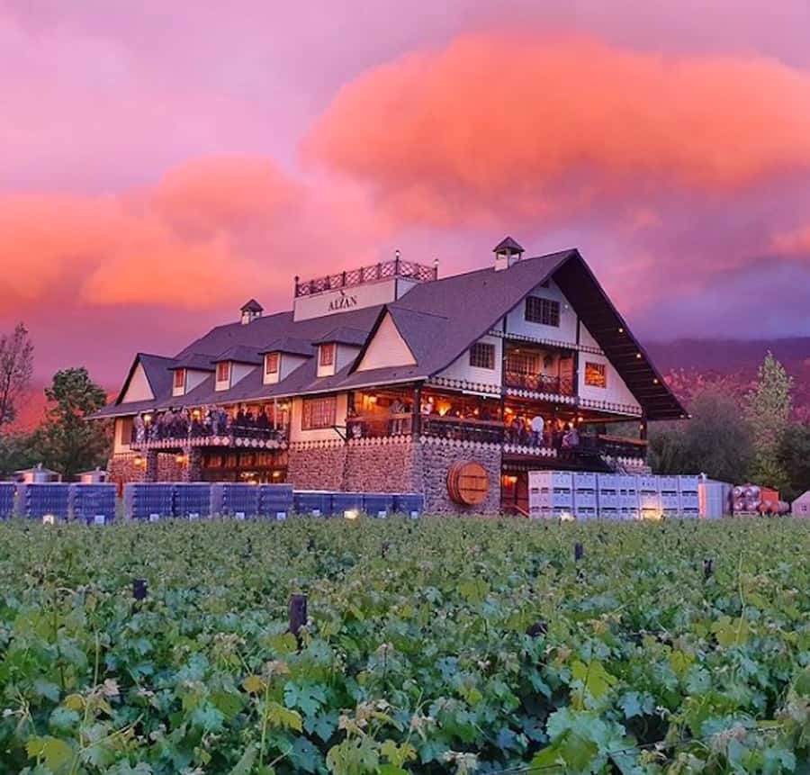 Alyan Family sunset winery - Quick highlights before you book