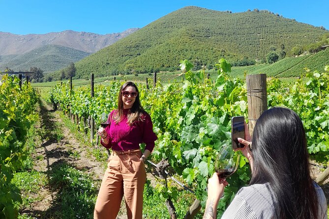 Andes Portillo & Aconcagua wine tour semi private - What You Actually Pay For With This $129 Santiago Andes Tour