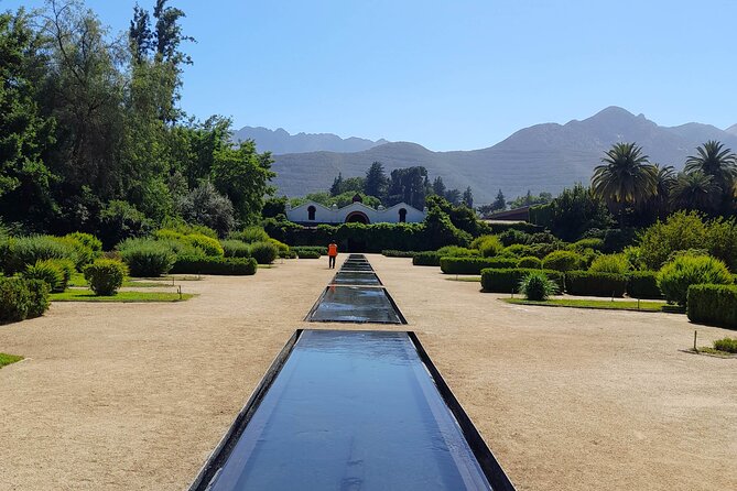 Andes Portillo & Aconcagua wine tour semi private - Viña El Escorial in Panquehue: 1880 Vineyards, Underground Cellar, and Tasting With Mountain Views