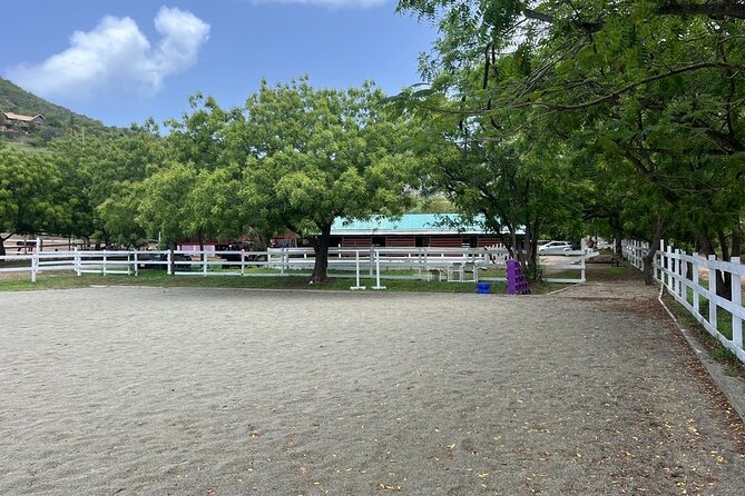 Antigua Horse Ride and Swim - Safety and Comfort: Why This Works for First-Timers