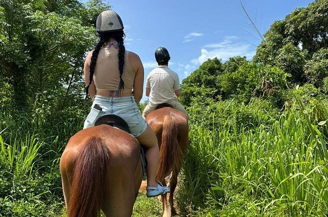 Antigua Horse Ride and Swim - Practical Tips So Your Hour Feels Easy