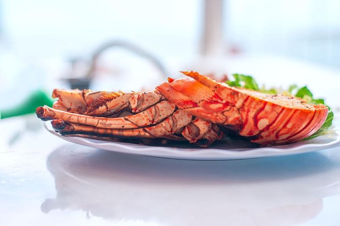 Antigua Seafood Lunch Cruise From St. John's - Booking smart: weather and seasonal changes you can plan around