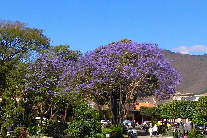 Antigua Walking Tour Morning and Afternoon - Museo de Arte Colonial: USAC context without getting lost in lectures