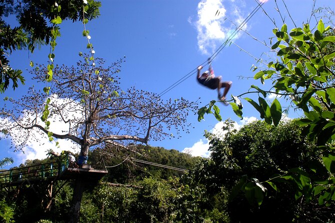 Antigua Zipline Canopy Adventure from St John’s - Getting to the park from St John’s: meeting at Redcliffe Quay