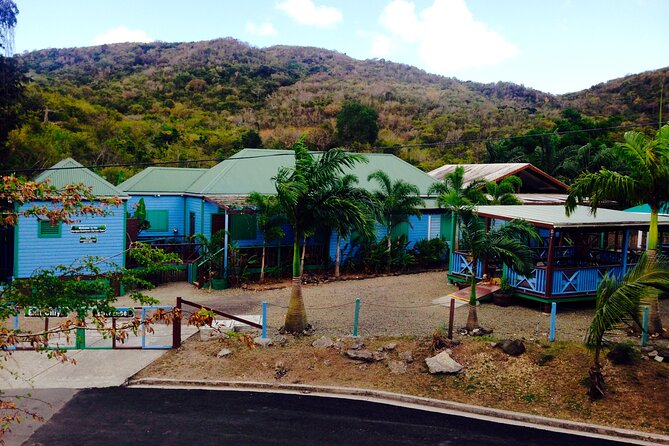 Antigua Zipline Canopy Adventure from St John’s - Ziplines, rope challenges, and two suspension bridges