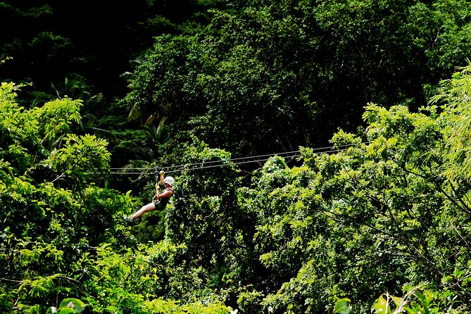 Antigua Zipline Canopy Adventure from St John’s - Food, water, and the certificate: what happens after you land