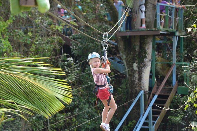 Antigua Zipline Canopy Adventure from St John’s - The small details that change your experience: phones, photos, and critters