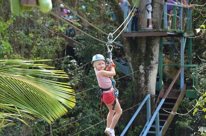 Antigua Zipline Canopy Adventure from St John’s - Who this suits, and who should think twice