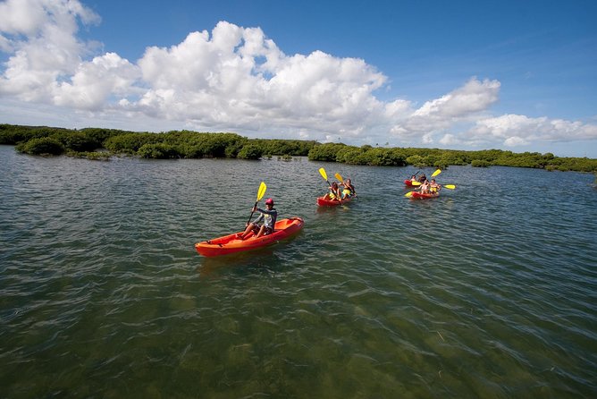Antigua Zipline & Kayaking Combo From St. John's - A Two-Platform Adventure in Antigua’s North and South