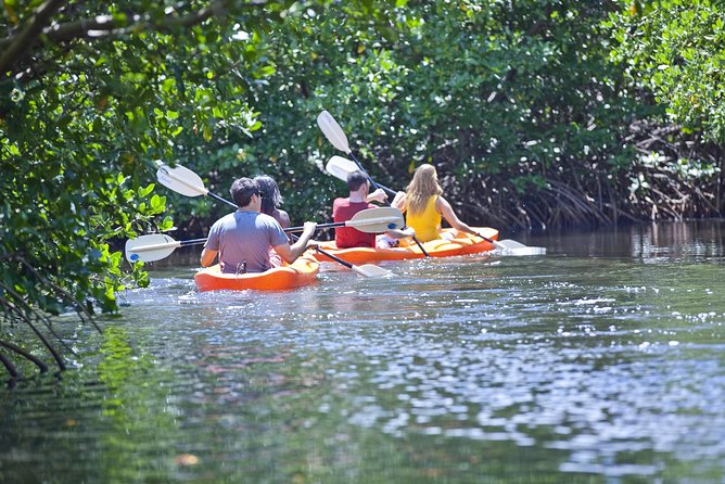 Antigua Zipline & Kayaking Combo From St. John's - What Makes the Tour Value Reasonable at $222.47