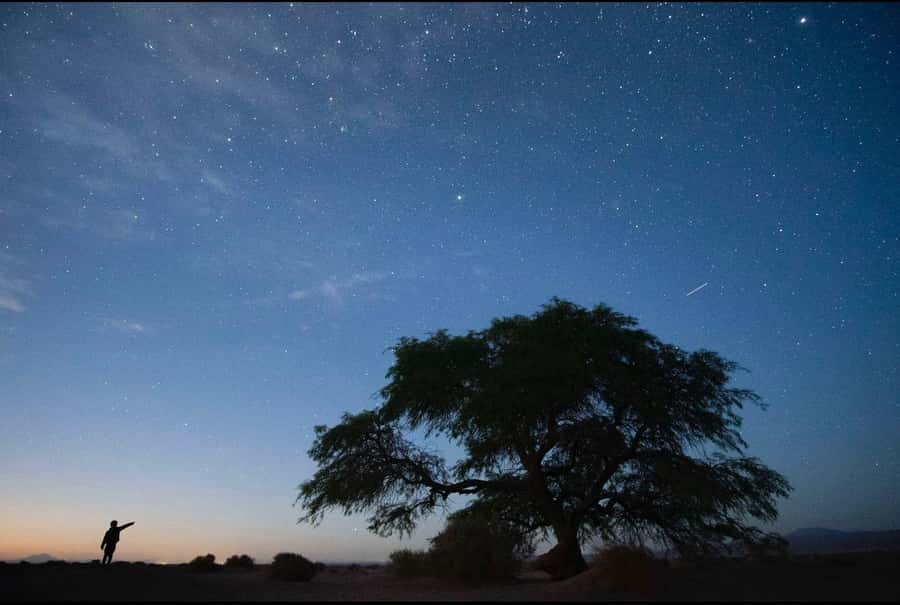 Antofagasta: Astronomical Tour with a Guide - Price and Value: Is $95 Worth It?