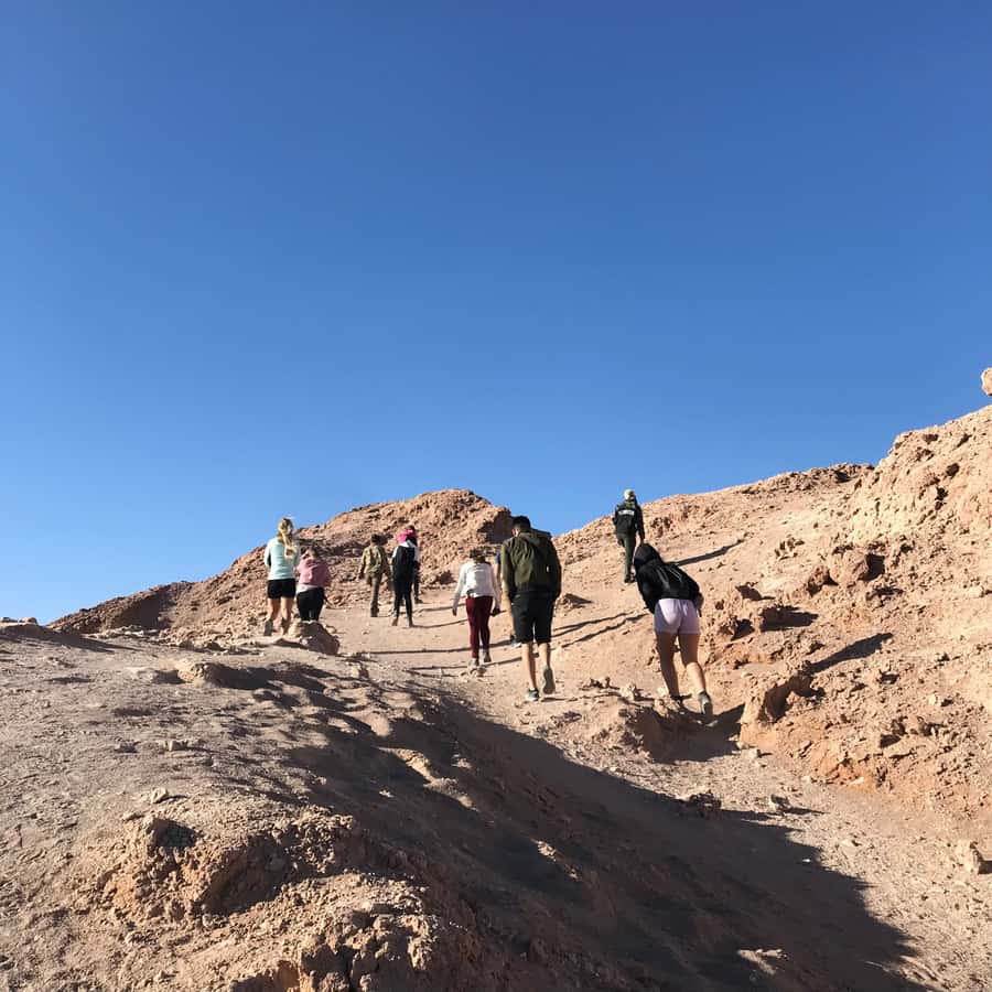 Atacama Desert and Magic Bus Visit - Price Check: Why $70 Can Work for This Route