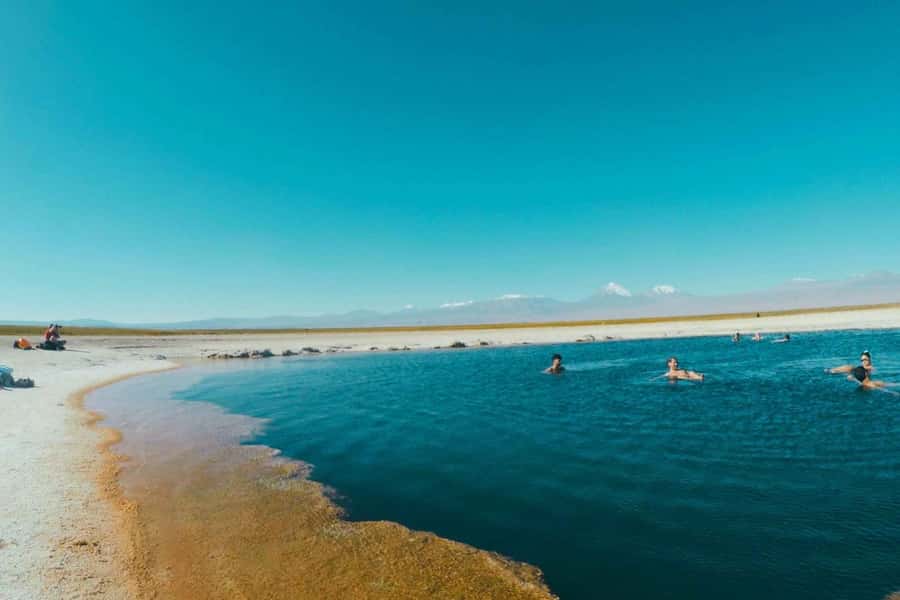 Atacama Desert: Floatation in Laguna Cejar and Sunset - Key highlights you will remember