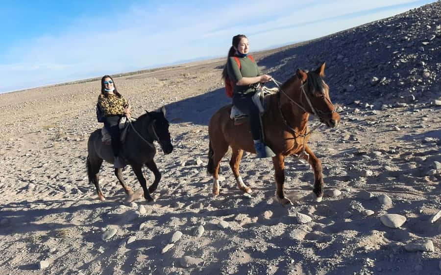 Atacama Desert: Horseback Adventure with Scenic Views - Key highlights you will actually care about