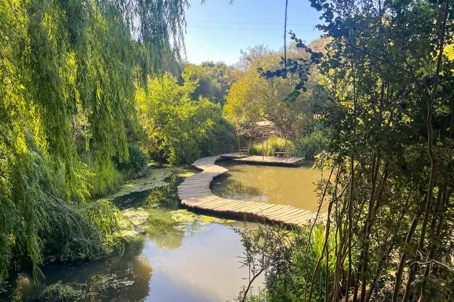 Aviary & Tricao Park Tour with Undurraga Wine Tasting - Key things you will notice on this tour