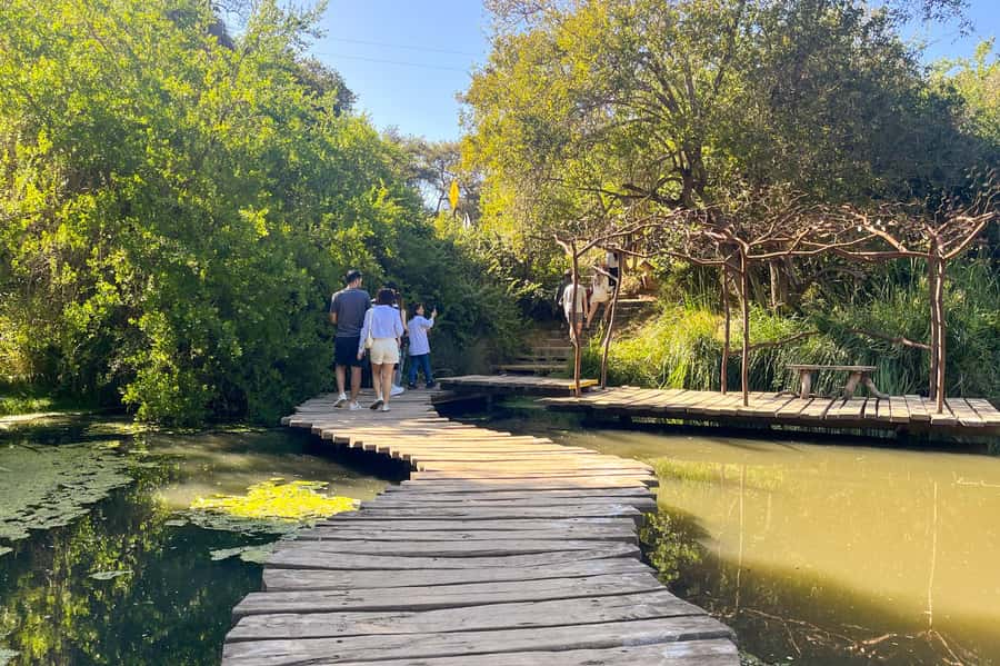 Aviary & Tricao Park Tour with Undurraga Wine Tasting - A full day between Parque Tricao and Viña Undurraga