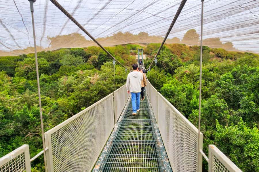 Aviary & Tricao Park Tour with Undurraga Wine Tasting - Parque Tricao: where 800+ birds turn a walk into a show