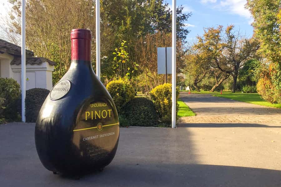 Aviary & Tricao Park Tour with Undurraga Wine Tasting - Snack-style brunch inside the park, then back on the move
