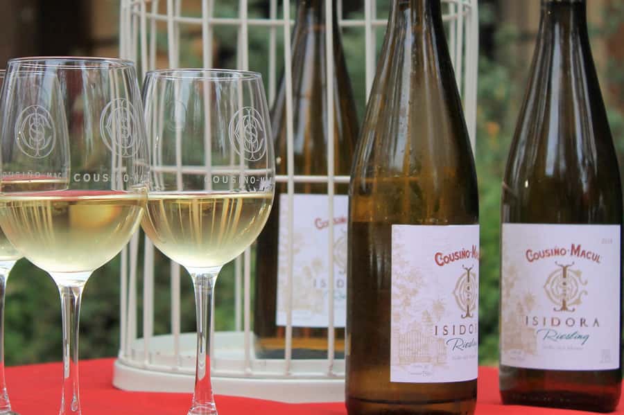 Bahá'i Temple and Cousiño Macul Vineyard - Practical tips so you enjoy every minute