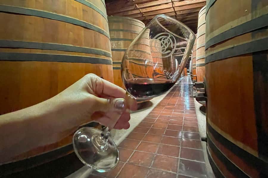 Bahá'i Temple and Cousiño Macul Vineyard - Should you book this Baháʼí Temple and Cousiño Macul tour?
