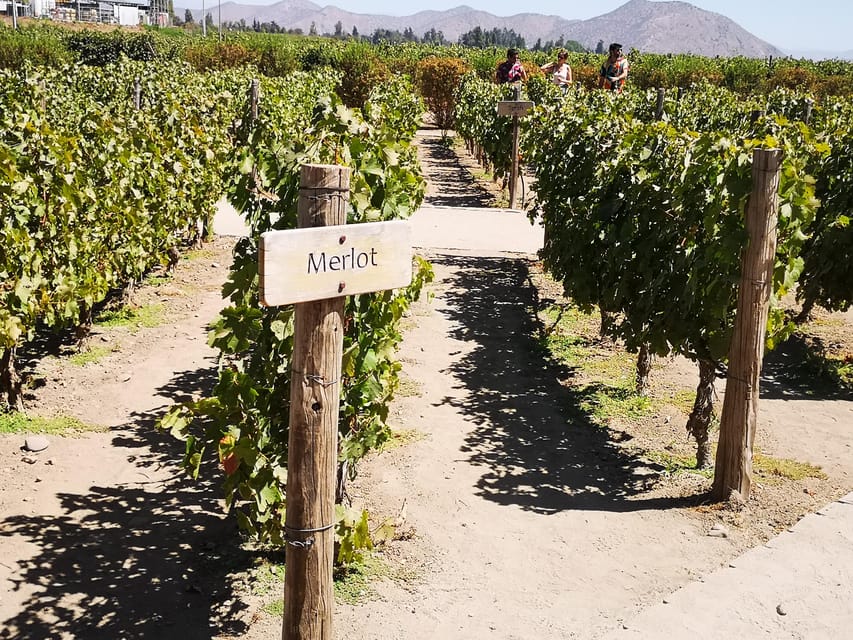 Bahá’í Temple, Winery and Lapis Lazuli + Private Transport - Should You Book This Santiago Bahá’í, Wine, and Lapis Lazuli Tour?