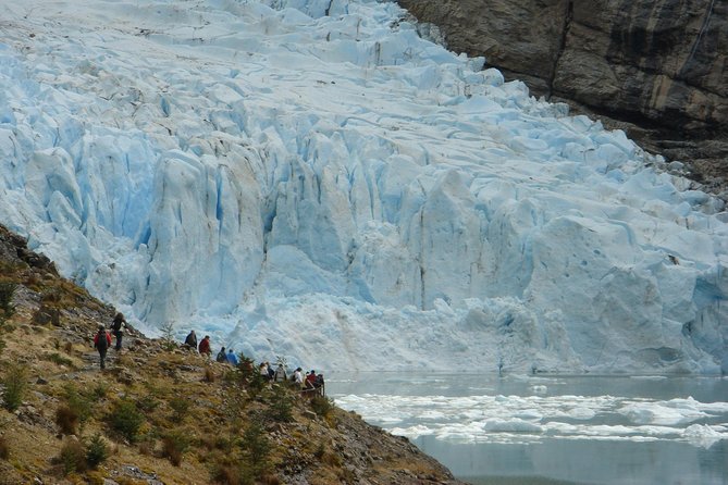 Balmaceda and Serrano Glaciers Sightseeing Cruise from Puerto Natales - Wildlife moments on the fjord and along the coast