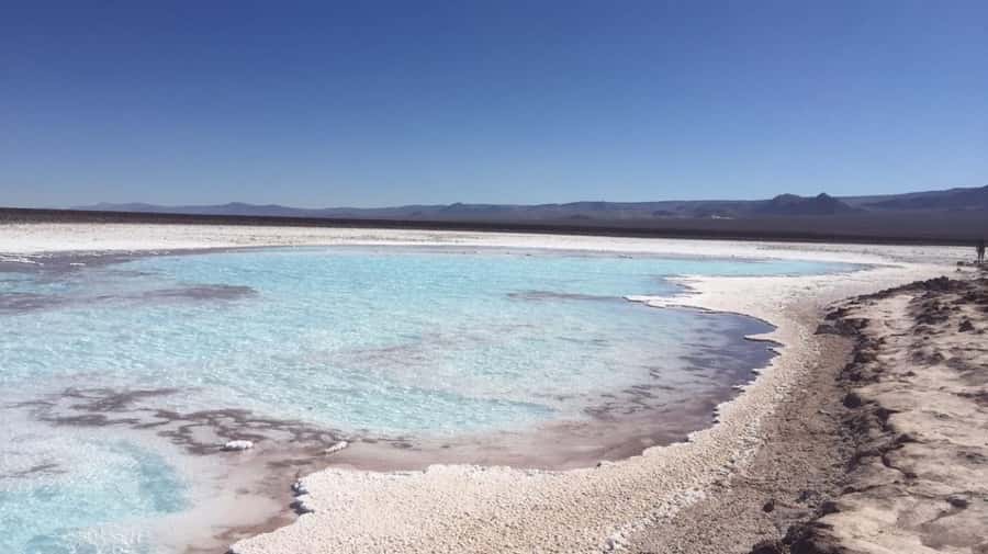 Baltinache Lagoons PM - Pickup, the Van, and How Not to Miss Your Time