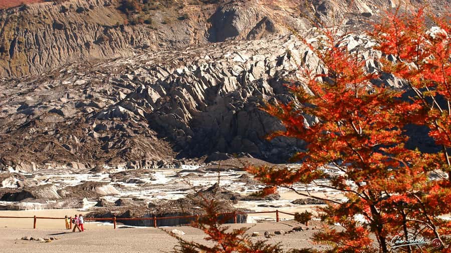 Bariloche: Cerro Tronador Tour - Price and value at $86, what you get and what you pay extra