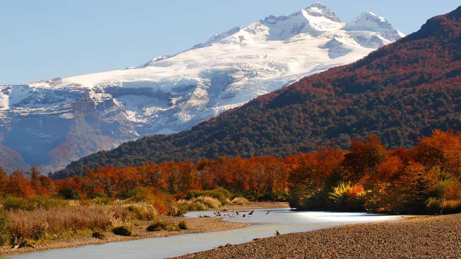 Bariloche: Cerro Tronador Tour - Pampa Linda stop: where you reset before the ice