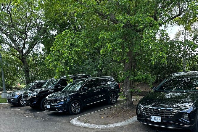 Biggvee Premium Airport One Way Transfer - Price and Value: What $200 Per Group Really Buys
