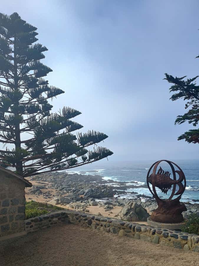 BLACK ISLAND AND CHILEAN WINE - Timing matters: how to avoid the most common disappointment