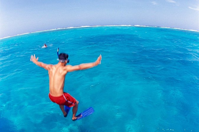 Cades Reef Snorkel Cruise from St. John's Antigua - Music, Congo line, and Dollar Whine: the fun side of sailing