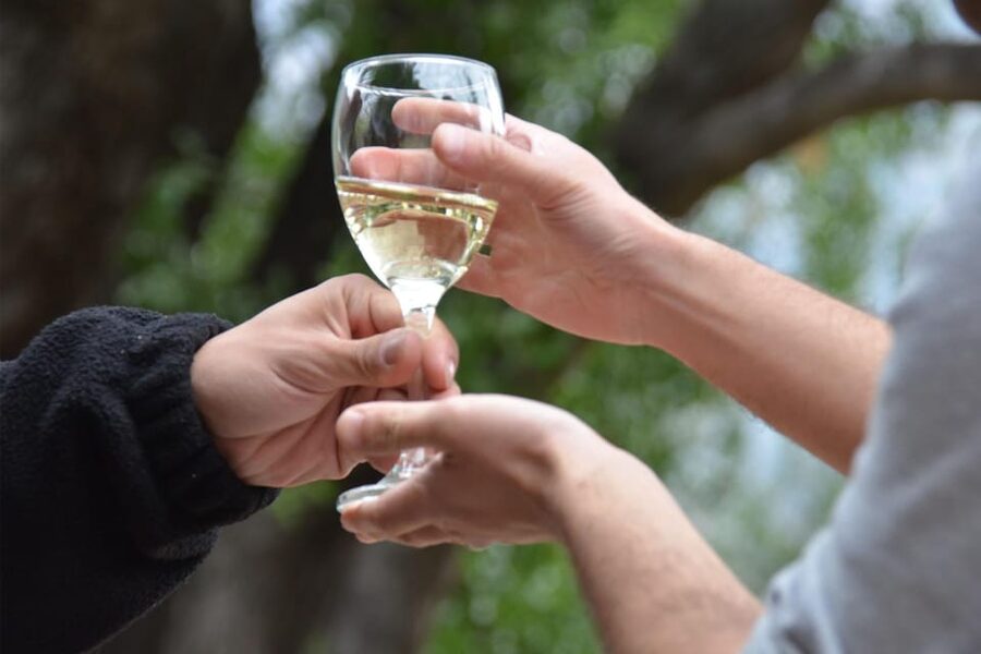 Cajon Del Maipo Including Wine with Picnic and Empanada - Winter season (June to September) changes you should plan for