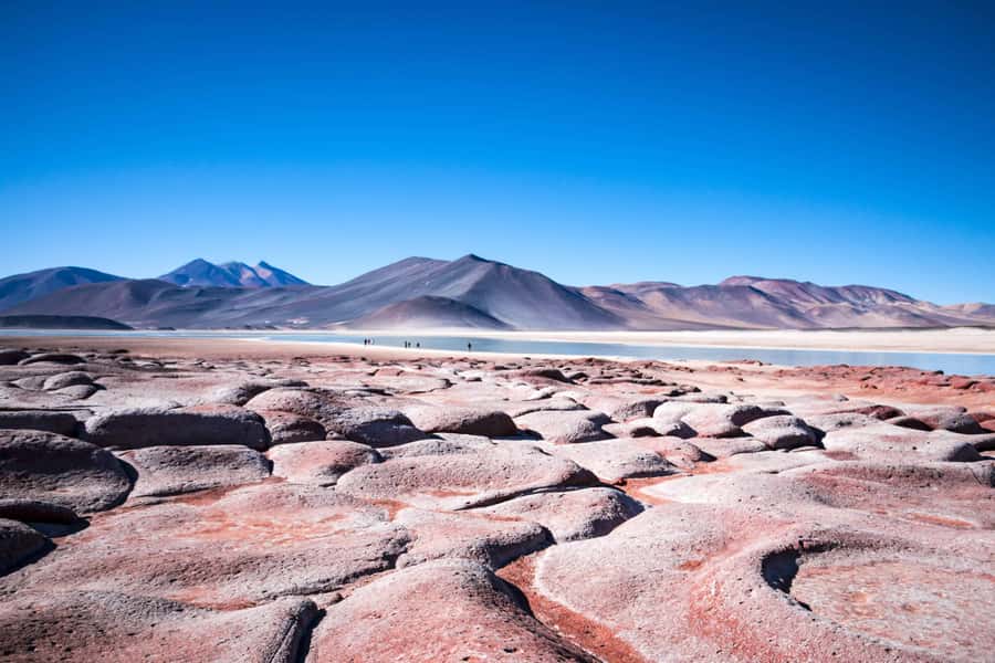 Caracoles: Red Stones of Atacama and Chaxa Guided Day Trip - Key highlights worth your attention