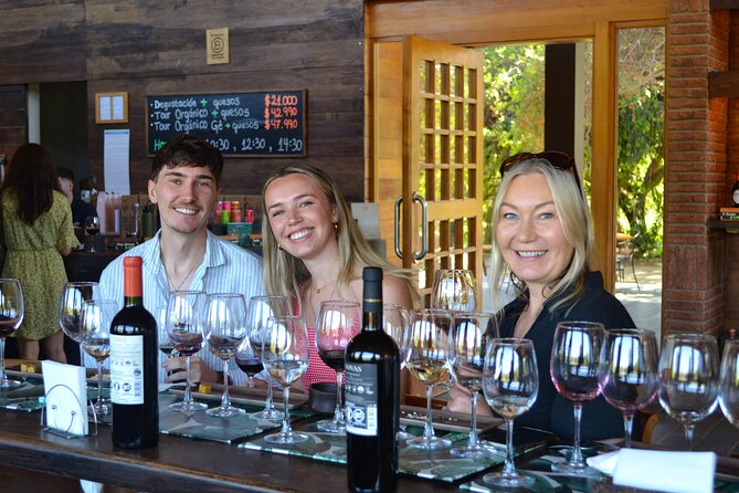 Casablanca world class wines, 4 vineyards & Tanino lunch stop - Casablanca Valley wine tour from Santiago, with four stops that actually feel different