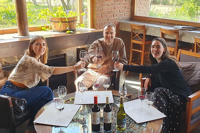 Casablanca world class wines, 4 vineyards & Tanino lunch stop - Stop 3: Bodegas RE, boutique blends and a more experimental feel