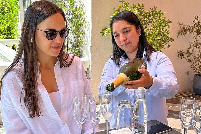 Casablanca world class wines, 4 vineyards & Tanino lunch stop - What to expect from the pacing, timing, and tastings