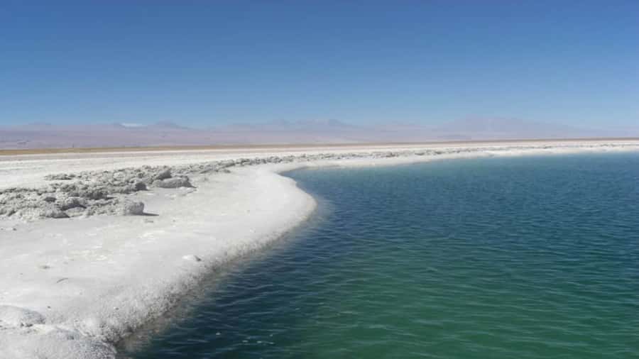 Cejar Lagoon, Tebenquiche Lagoon and Ojos del Salar - Laguna Cejar: turquoise water and the real floating effect