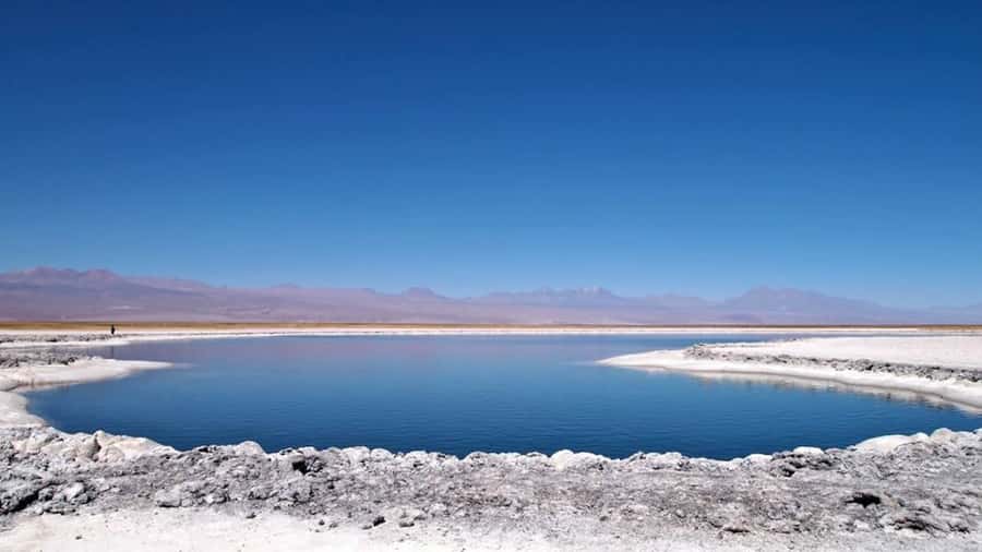 Cejar Lagoon, Tebenquiche Lagoon and Ojos del Salar - Your 5-hour route: three stops, one main theme