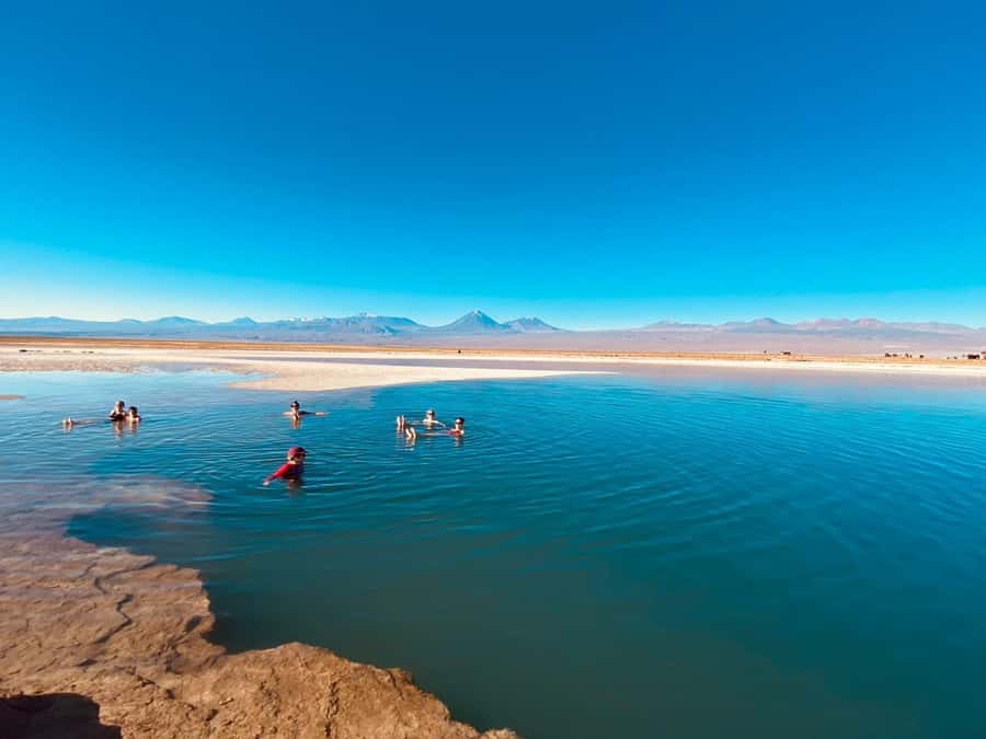 Cejar Lagoon Tour: San Pedro de Atacama - Altitude, timing, and the Whipala Expedition departure rhythm