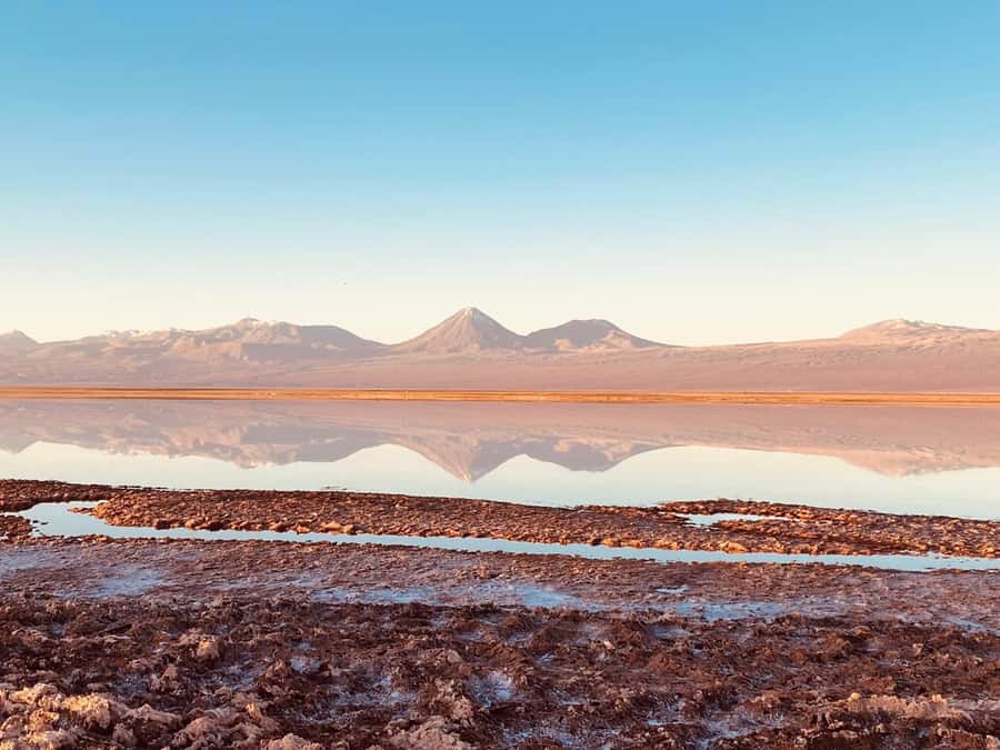 Cejar Lagoon Tour: San Pedro de Atacama - Ojos del Salar: two pools, underground water, and living edges