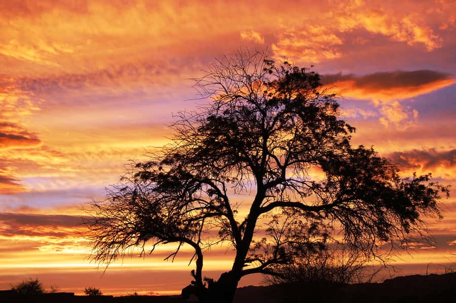 Cejar & Tebenquiche Lagoons Tour with Ojos del Salar Atacama - Key things to know before you go