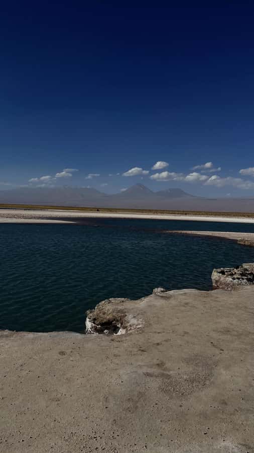 Cejar & Tebenquiche Lagoons Tour with Ojos del Salar Atacama - Cejar, Ojos del Salar, and Tebenquiche, in one 5-hour rhythm